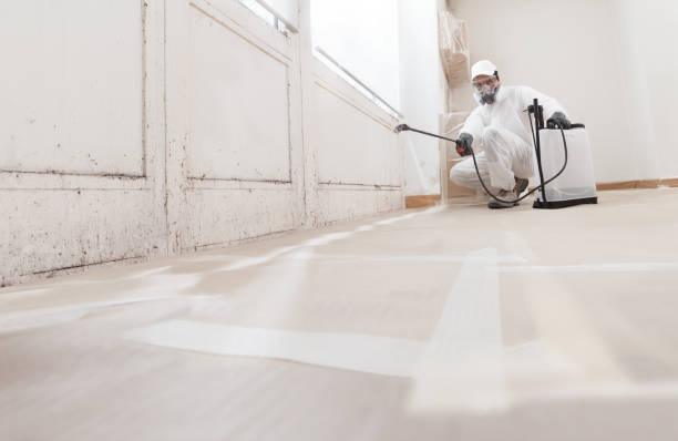 24/7 Emergency Mold Remediation experts in White Plains, VA