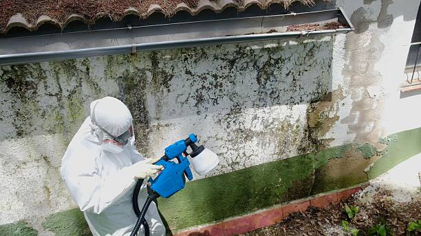 Top rated local Mold Remediation specialists in White Plains, VA